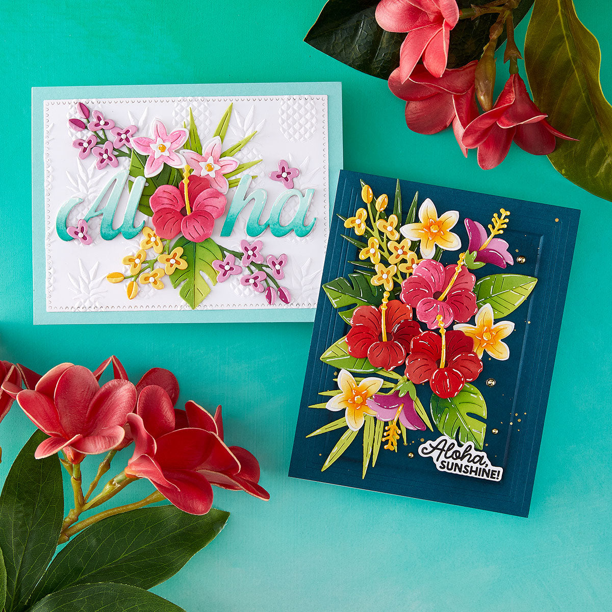 June New Sea Turtle and Tropic - Candle Making Guide reseña y precio
