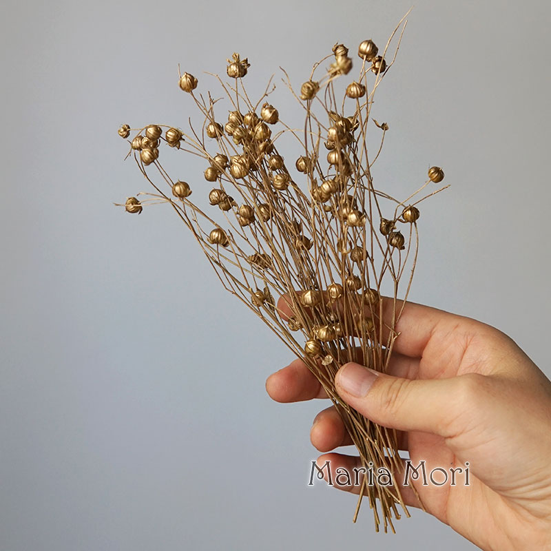 5g Preserved Flax Bean Natural - Candle Making Activity reseña y precio