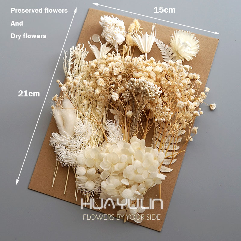 1 Pack Artificial Plants Dried - Candle Making Activity reseña y precio